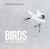 Birds in Pictures Birds in Pictures