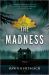 The Madness : A Novel