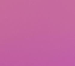 The Essential Fan Guide to DRSB