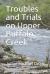 Troubles and Trials on Upper Buffalo Creek Part II : Buffalo, Bullskin and Beyond