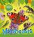 Minibeasts Minibeasts