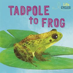 Tadpole to Frog