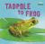 Life Cycles: from Tadpole to Frog