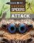 Predator vs Prey: How Spiders and Other Invertebrates Attack!