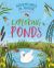 Adventures in Nature - Exploring a Pond