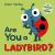 Are You a Ladybird? : With Lift-The-Flaps and a Mirror!