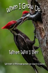 When I Grow up What Will I Be?