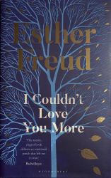 I Couldn't Love You More