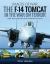 The F-14 Tomcat in the War on Terror