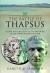 The Battle of Thapsus (46 BC) : Caesar, Metellus Scipio, and the Renewal of the Third Roman Civil War
