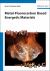 Metal-Fluorocarbon Based Energetic Materials Metal-Fluorocarbon Based Energetic Materials