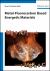 Metal-Fluorocarbon Based Energetic Materials Metal-Fluorocarbon Based Energetic Materials