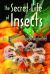 The Secret Life of Insects : An Entomological Alphabet