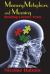 Memory, Metaphors, and Meaning : Reading Literary Texts