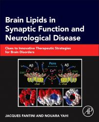 Brain Lipids in Synaptic Function and Neurological Disease : Clues to Innovative Therapeutic Strategies for Brain Disorders