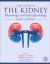 Seldin and Giebisch's the Kidney : Physiology and Pathophysiology