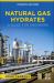 Natural Gas Hydrates : A Guide for Engineers