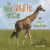 The Great Giraffe Rescue : Saving the Nubian Giraffes