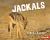 Jackals : Nature's Cleanup Crew