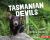 Tasmanian Devils : Nature's Cleanup Crew