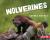Wolverines : Nature's Cleanup Crew