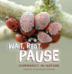 Wait, Rest, Pause : Dormancy in Nature