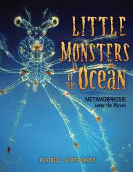 Little Monsters of the Ocean : Metamorphosis under the Waves