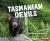 Tasmanian Devils : Nature's Cleanup Crew