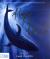 Hope the Whale : In Association with the Natural History Museum