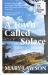 A Town Called Solace : Longlisted for the Booker Prize 2021