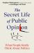 The Secret Life of Public Opinion : What People Really Think about Politics