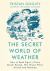 The Secret World of Weather : How to Read Signs in Every Cloud, Street, Animal and Dewdrop