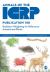 ICRP Publication 148 : Radiation Weighting for Reference Animals and Plants