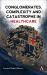 Conglomerates, Complexity and Catastrophe in Healthcare