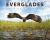 Everglades : America's Wetland