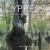Cypress : The Last Old-Growth Swamps
