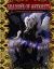 Shadows of Antiquity : A Vampire's Collection of Poems and Illustrations