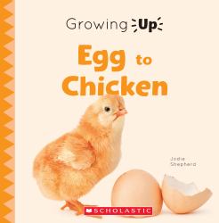 From Egg to Chicken (Explore the Life Cycle!)
