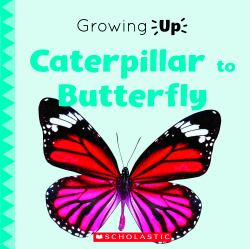 Caterpillar to Butterfly (Explore the Life Cycle!)