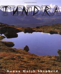 Tundra