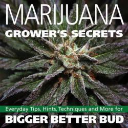 Marijuana Grower's Secrets : Everyday Tips, Hints, Techniques, and More for Bigger Better Bud