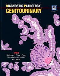 Genitourinary