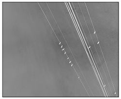 Tooth for an Eye : A Chorography of Violence in Orleans Parish