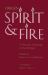 Spirit and Fire : Origen - A Thematic Anthology of His Writings