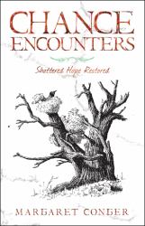 Chance Encounters : Shattered Hope Restored