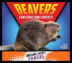 Beavers : Construction Experts