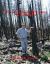 Western Oregon Wildfires : An Anthology