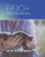 B90+ : Bible in 90 Days Plus