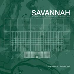 Savannah : Rethinking the Multi-Scalar Capacity of the City Project