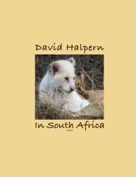 David Halpern in South Africa